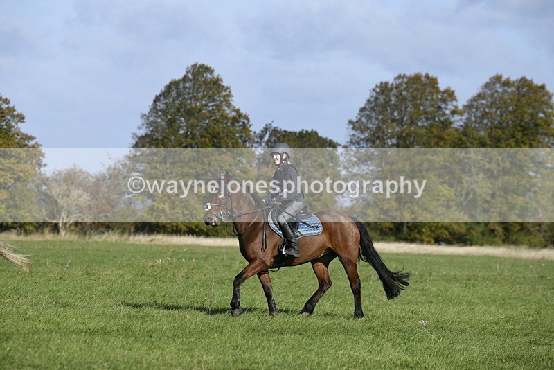 _DSC5070 - Time 10:27 to 10:48