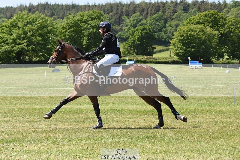 230527-135732-09394 - 375-FINLEY_DU_LOIR-Oliver_Townend-XC
