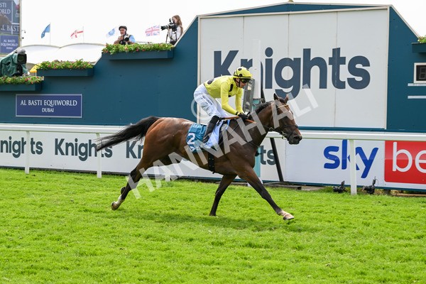 170524-Race 2-Botanical-7692 - Race 2 2.45pm Knights Solicitors Handicap