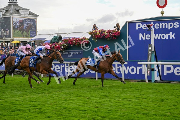 220824-Race 4-Content-7411 - Race 4 3.35pm Pertemps Network Yorkshire Oaks