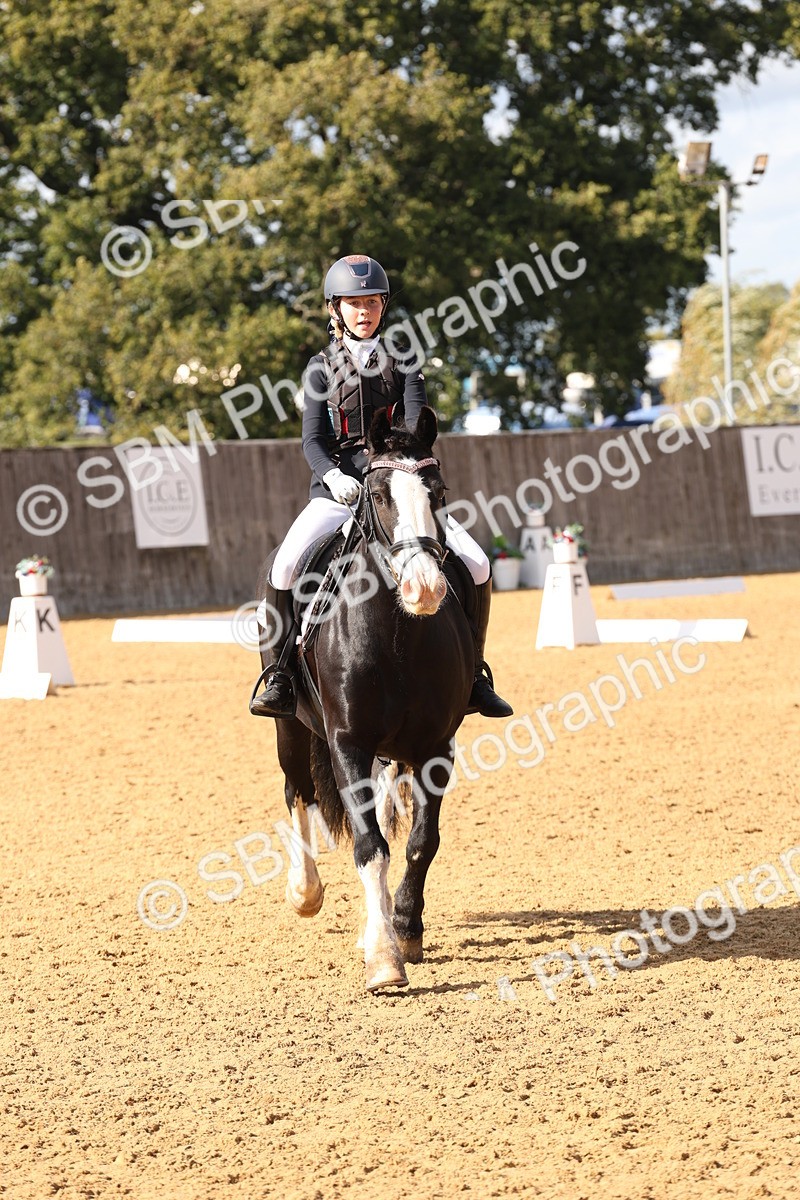 SBM_47500 - D12 - Small Tour Championship prelim 2