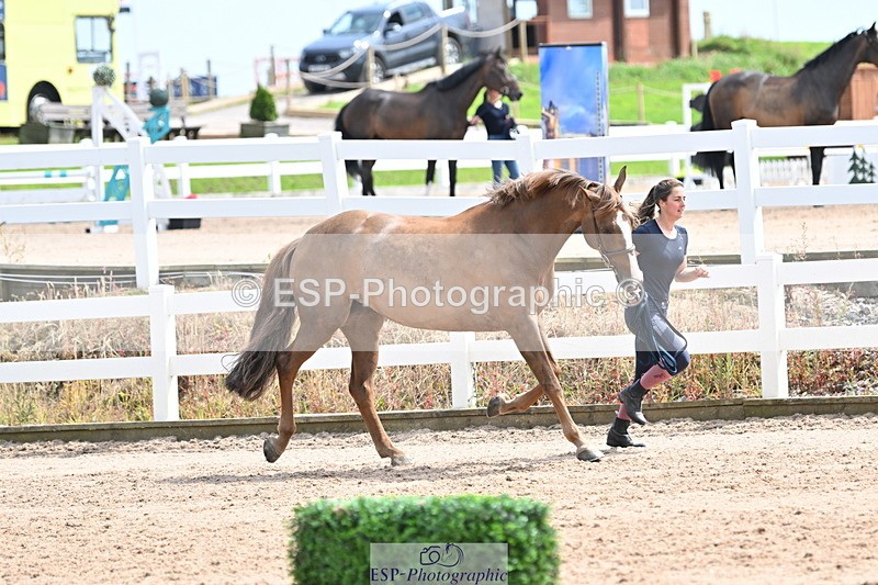 240717A-144254-02227 - Trot Up 2pm to 3pm - This folder is not in time order