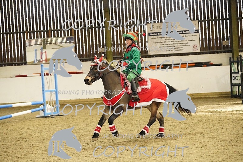 _DSC3293 - 50cm/60cm Pairs