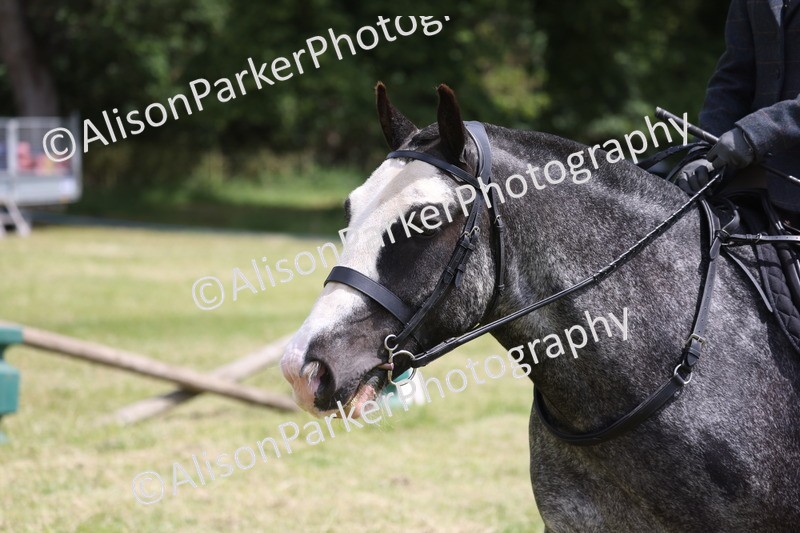 20260614-1989 - Class 21 - Novice Working Hunter Pony