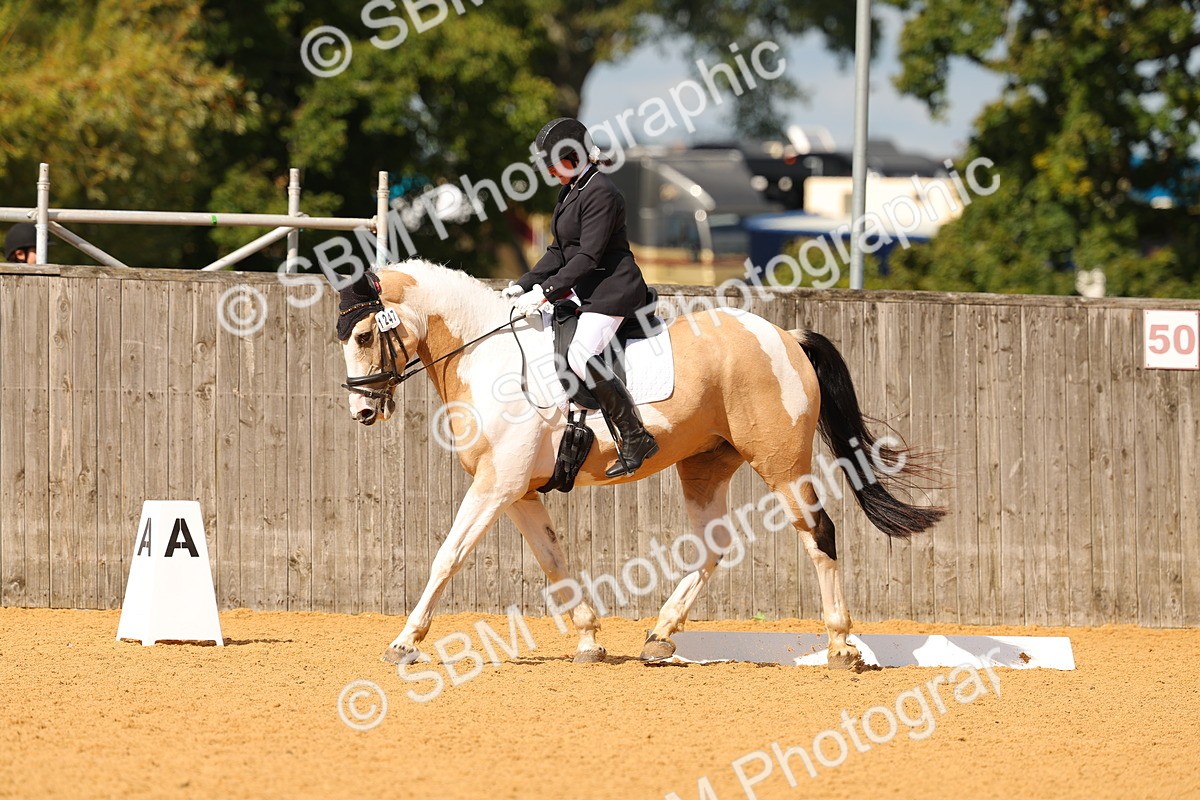 SBM_40300 - D14 - Grand Tour Championship - Prelim 14