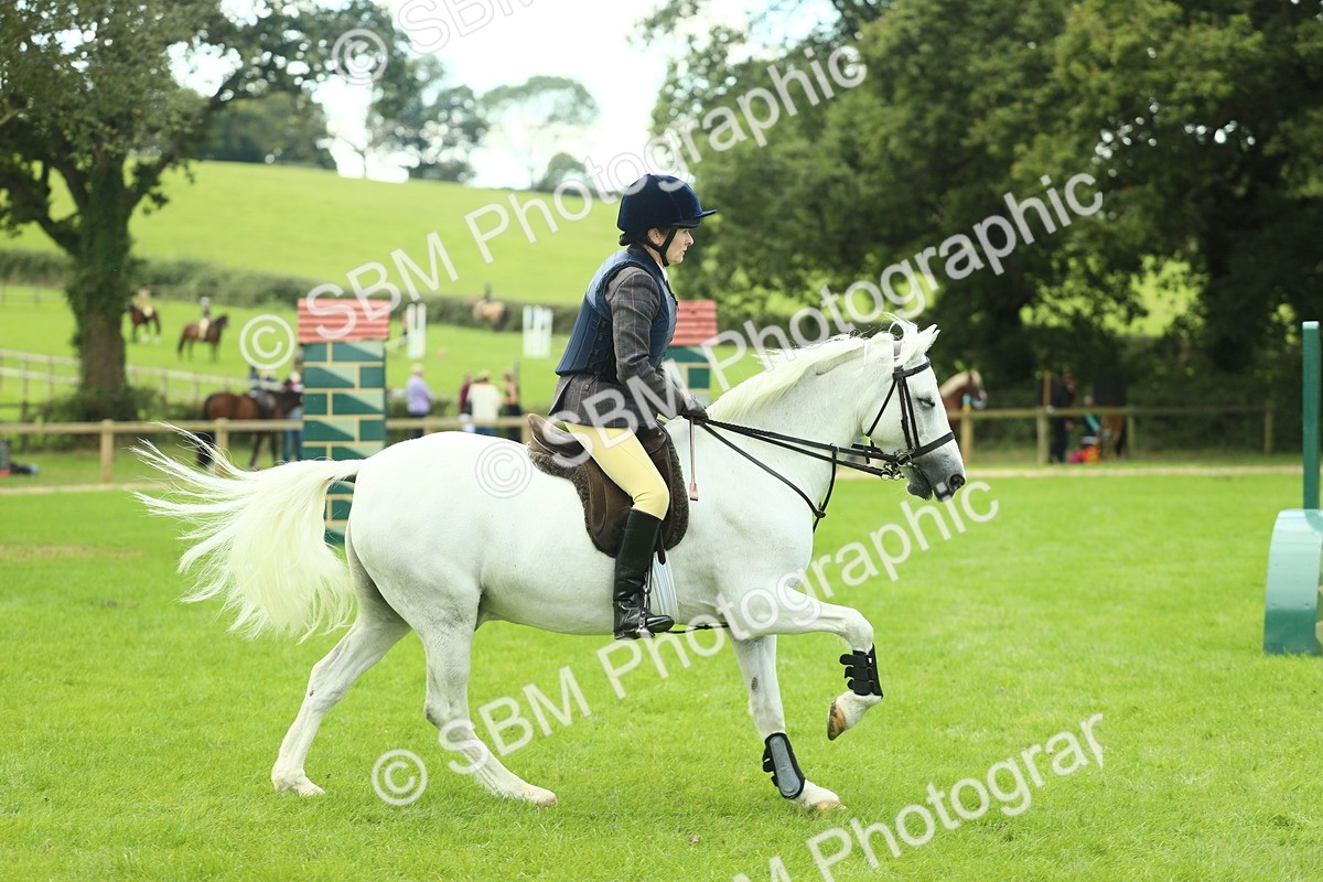 SBM_42799 - S30 - M&M Working hunter Pony