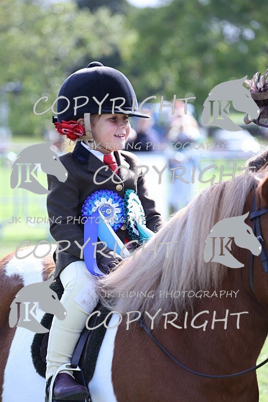 APP_3931 - Class 13 Lead rein