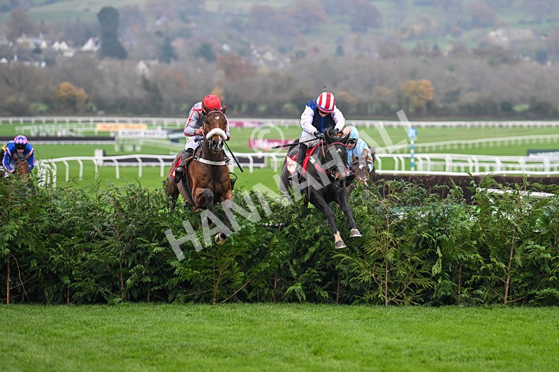 151124-Race 4-Sweet David-8202 - Race 4