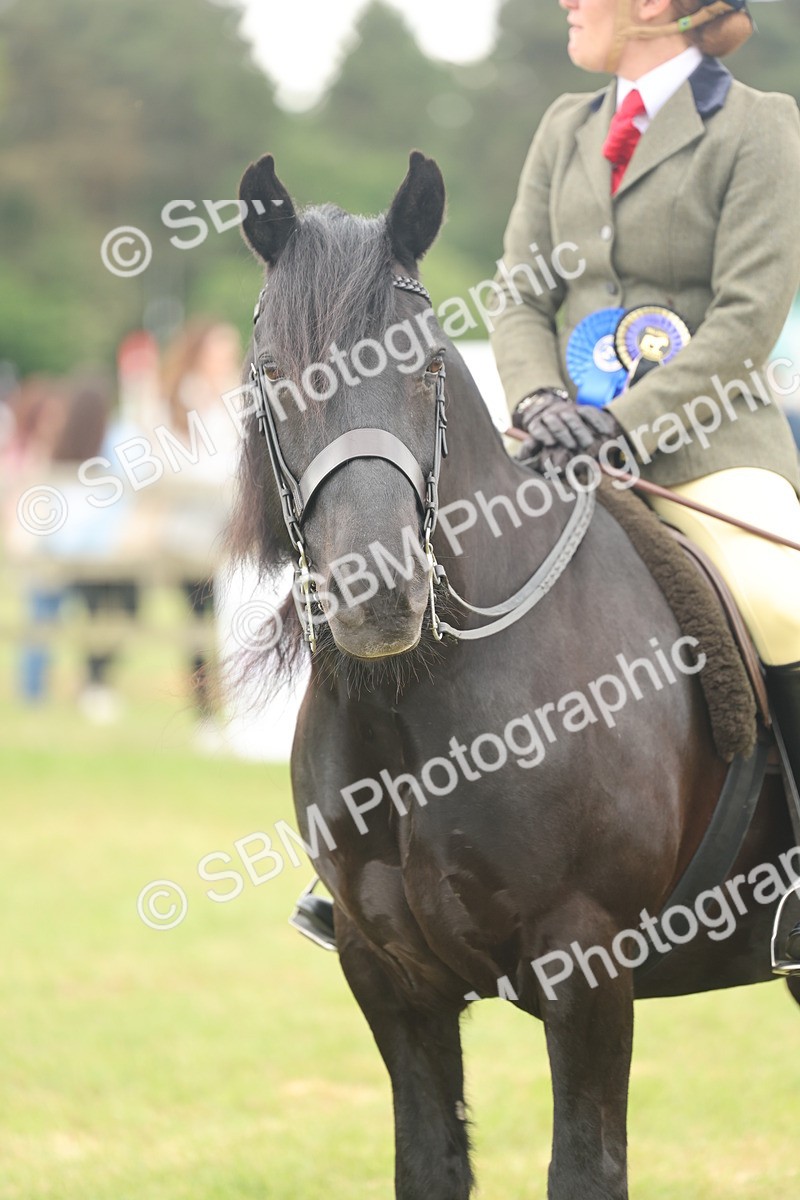 SBM_09046 - Class 78-80 - Ridden M&M Non Welsh Ponies