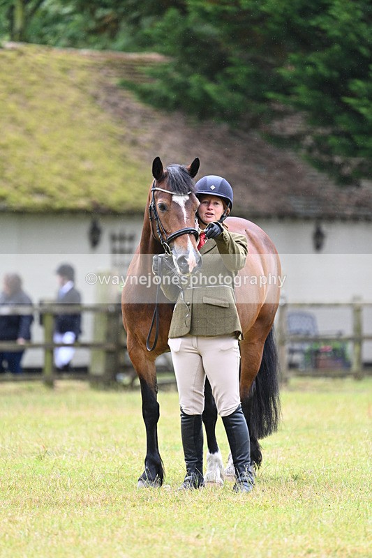 WJ7_6291 - Class 4a Prettiest Mare over 14hh