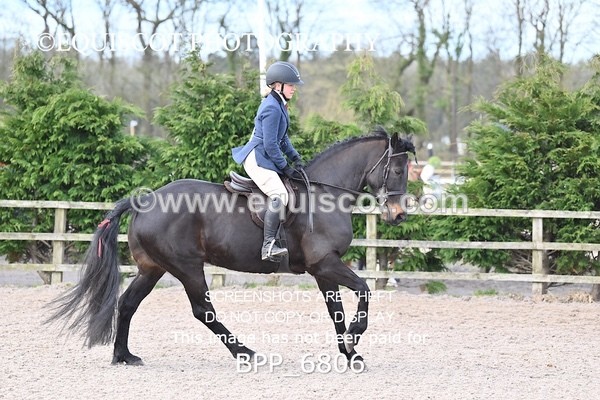 BPP_6806 - RING 1  (RIDDEN HORSES / IN HAND / VETERAN ETC)