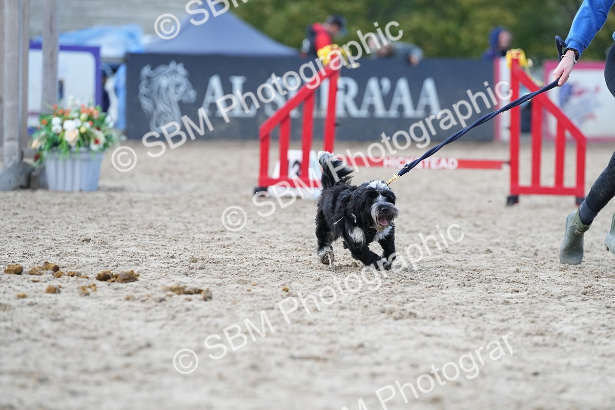 SBM_29187 - J43 - Horse & Hound Open 50cm