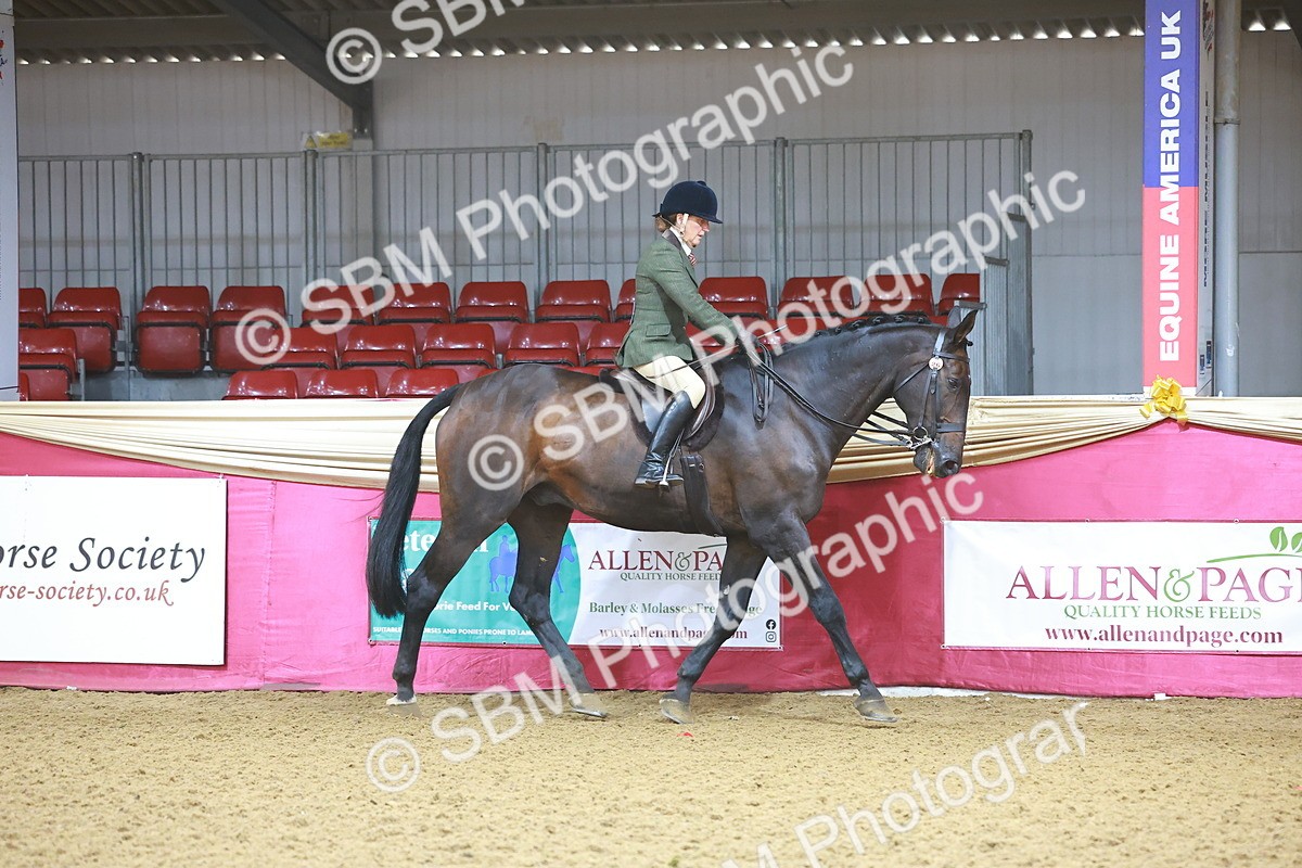 SBM_07595 - Class 101 - HOYS Veteran Qualifier - Ridden Diamond