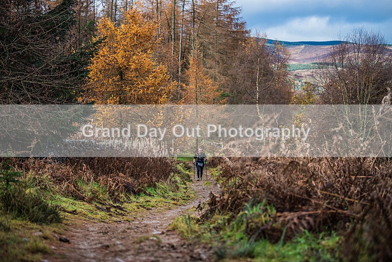TVU 50  60K-665 - High Terrain Events Tweed Valley 50 & 65K Ultra Trail Races Sunday 19th November 2023