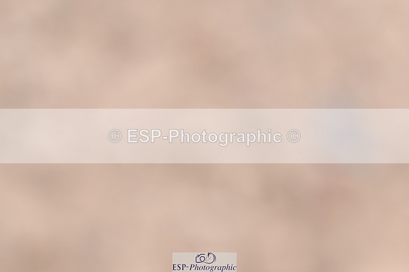 250620-112631-03217 - UnA Cls 3+4 - Prelim 1+2