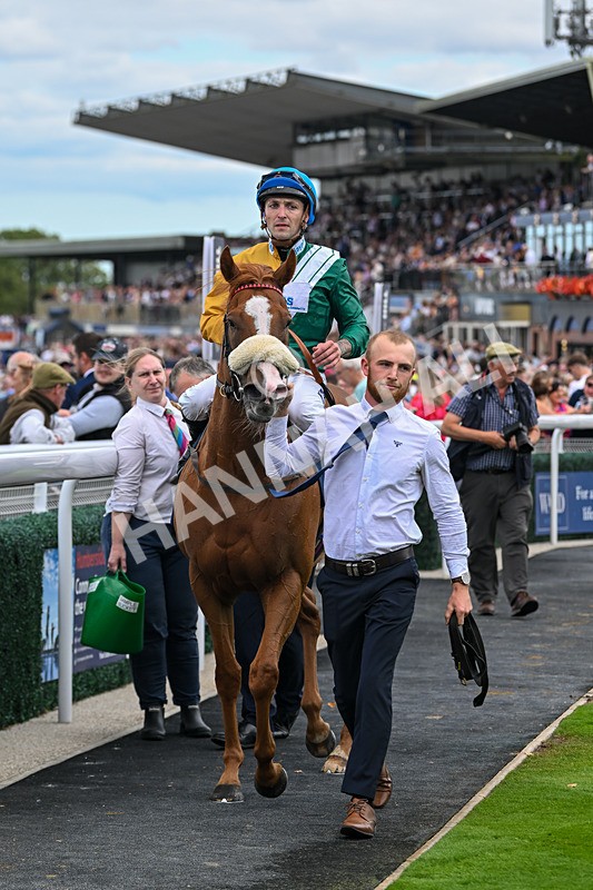 300825-Race 2-Shagraan-0749 - Race 2