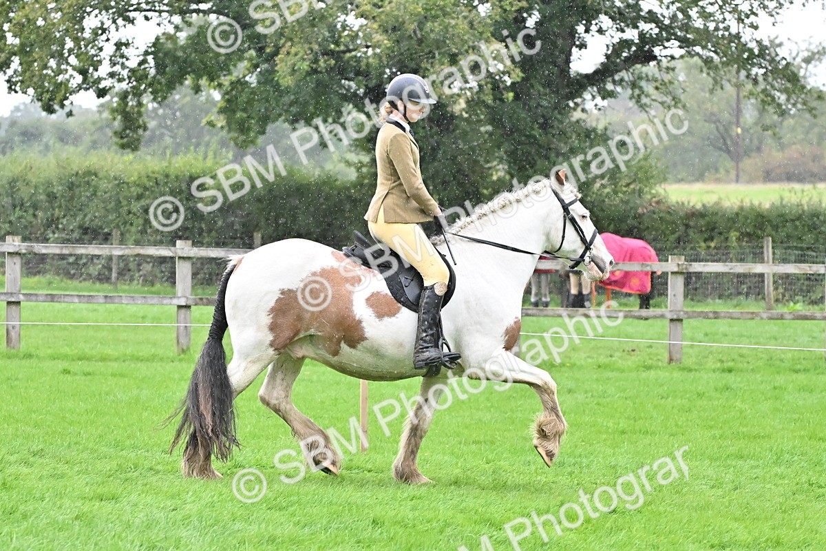 SBM_42972 - S12 - Family Horse & Pony