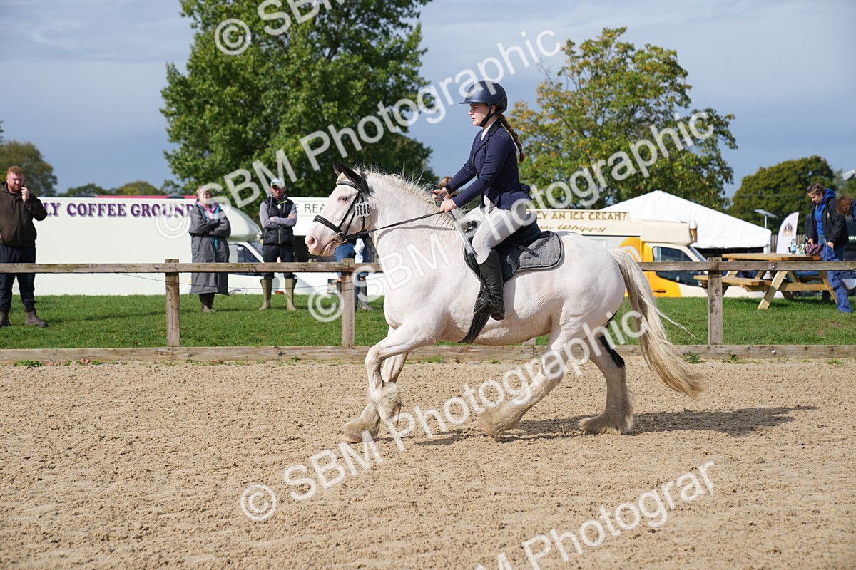 SBM_02467 - J55 - Clear Round 60cm