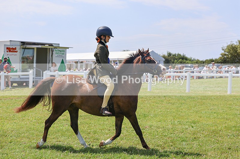 IMG_3037 - M&M Mini Ridden Championship