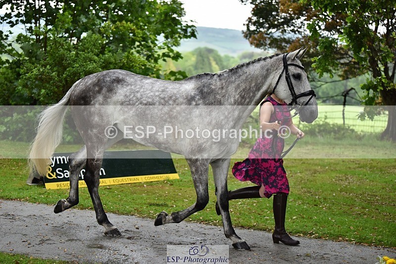 240522-153438-00447 - 371-TALIA-Grace_Taylor