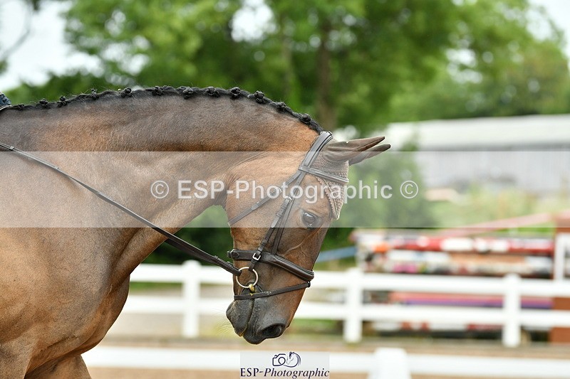 230630A-122443-01852 - Cls 7 Elementary 45