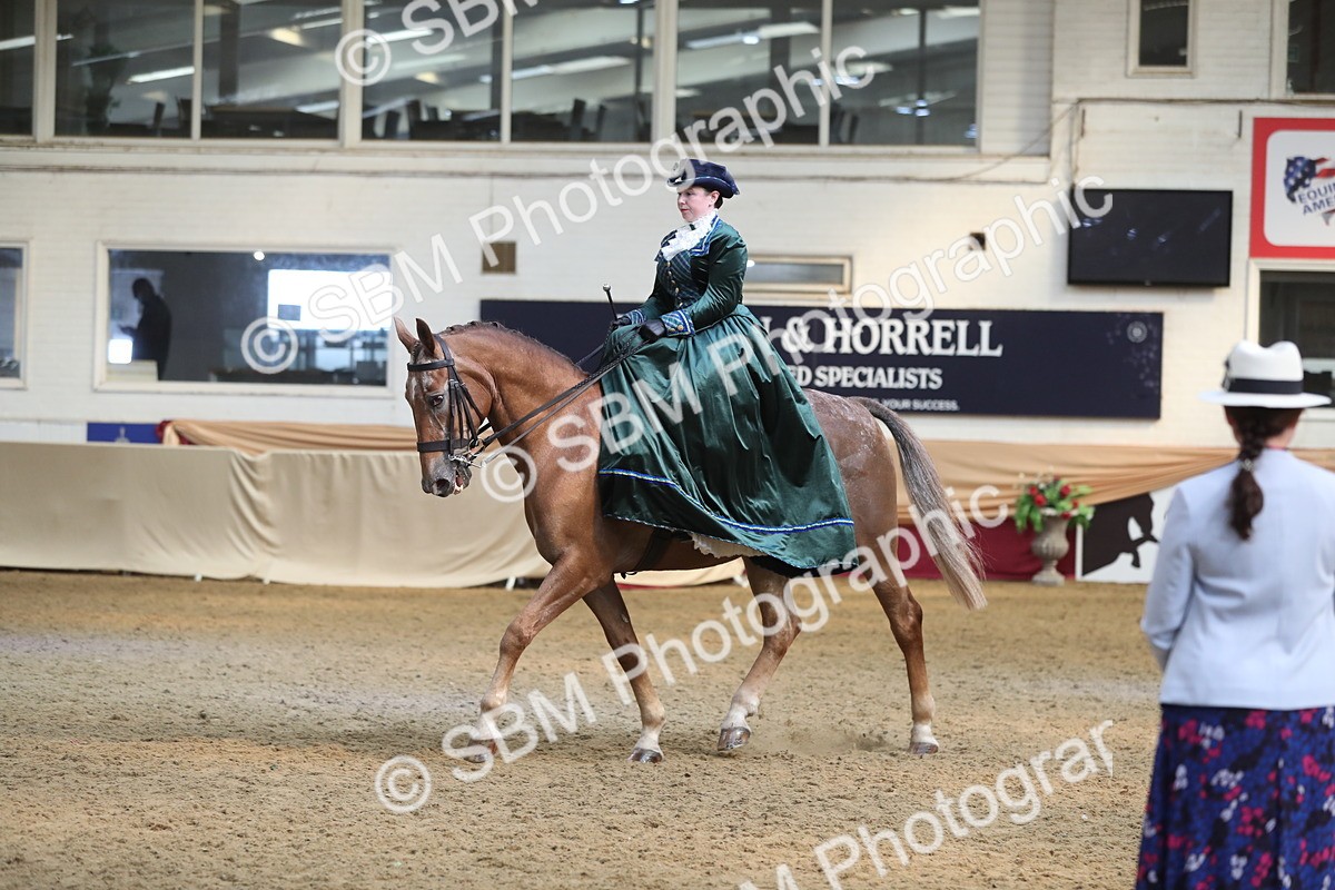 SBM_11577 - Class 105 Ridden Costume- Side Saddle