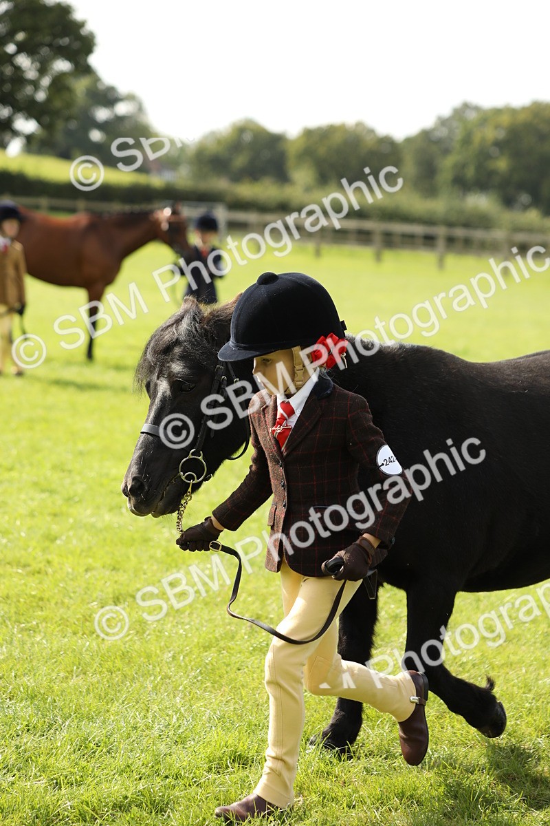 SBM_67763 - S39 - Junior Handler 8  Years & Under