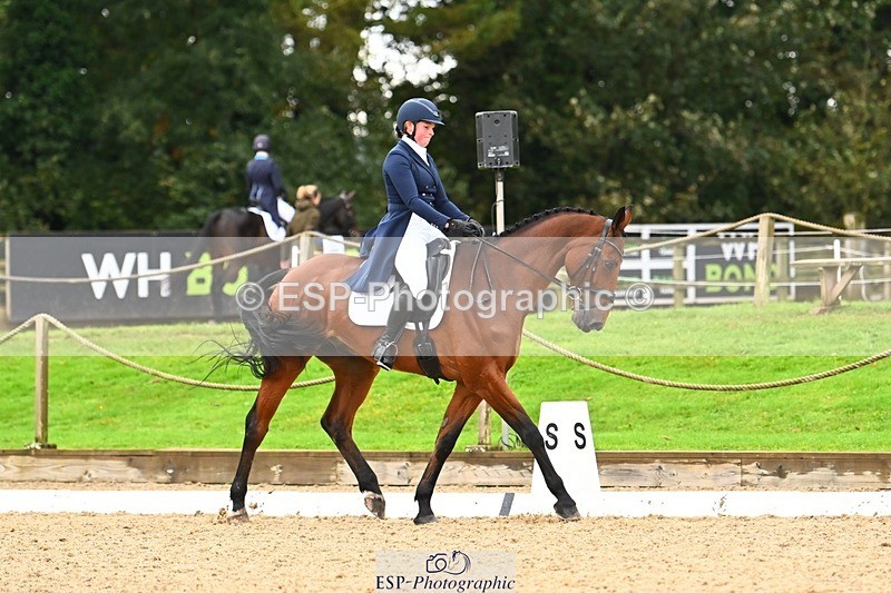 231021-120920-15074 - 346-MY.EASTWOOD.BRIGHTSIDE-Darcy.Zander-DR