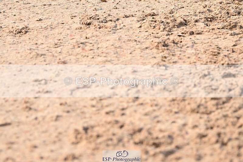 250424-095217-03734 - Cls 13 - 1 Star Bronze Tour