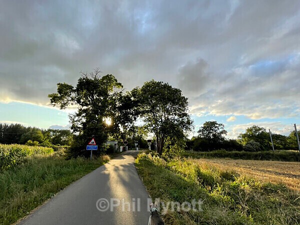 PhotoMynottART090 - Photo Mynott ART Images