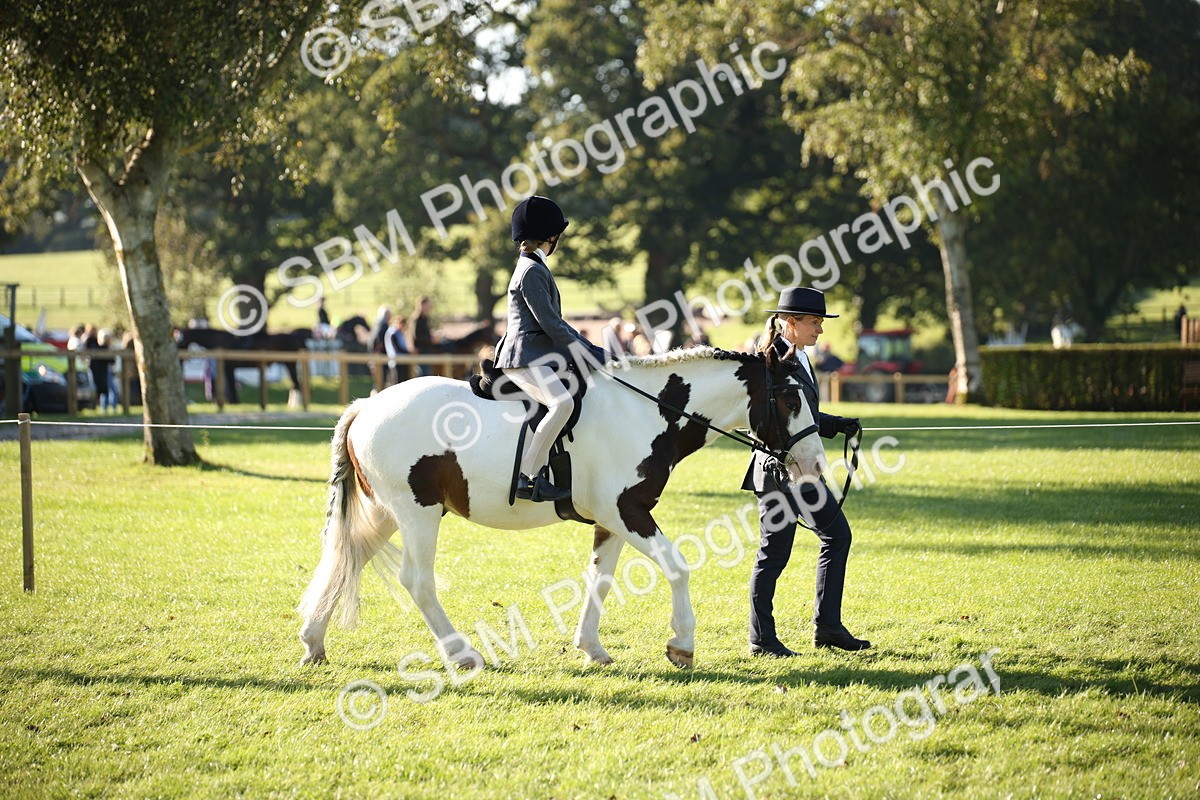 SBM_35653 - S9 - Lead Rein Equitation