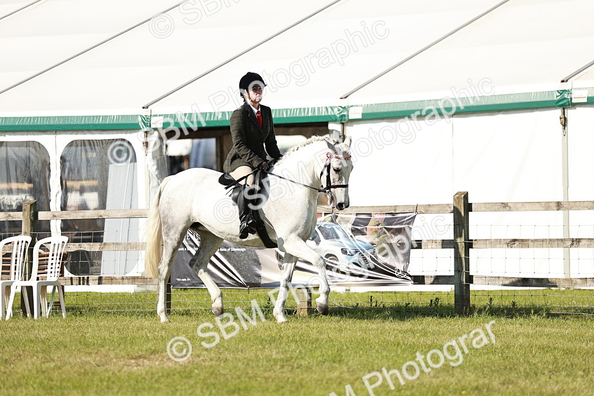 SBM_19219 - Class 115-116 - LIHS BSHA Rising Star Working Hunter & Show Horse
