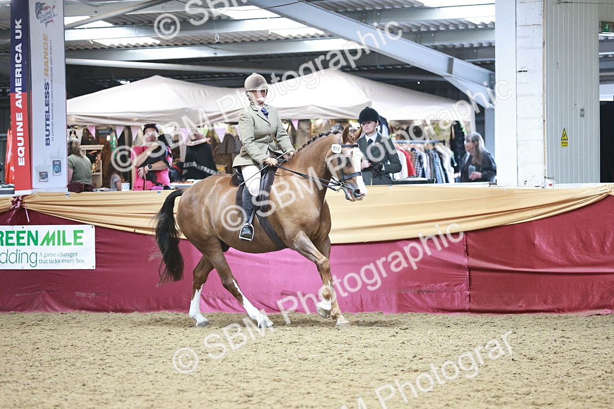 SBM_08960 - Class 12R - Regional Ridden Pre-Vet