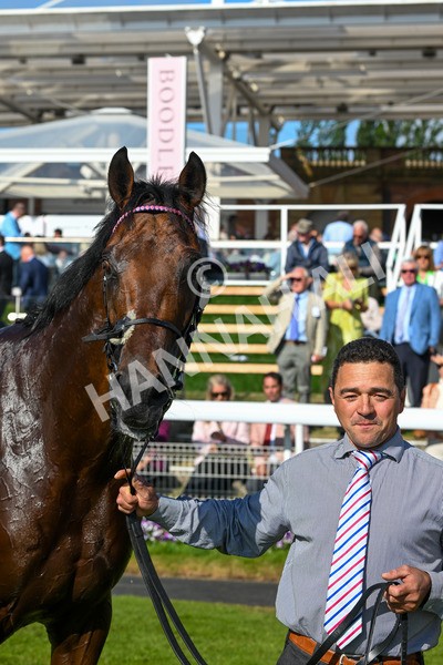 160525-Race 6-Bowmark-7364 - Race 6 4.55pm Darley EBF 'Confined' Novice Stakes