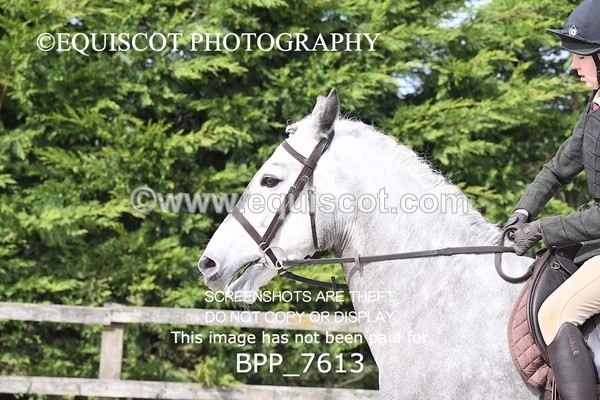 BPP_7613 - RING 1  (RIDDEN HORSES / IN HAND / VETERAN ETC)