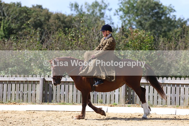 3E7A3586 - Class 7:  Preliminary Music