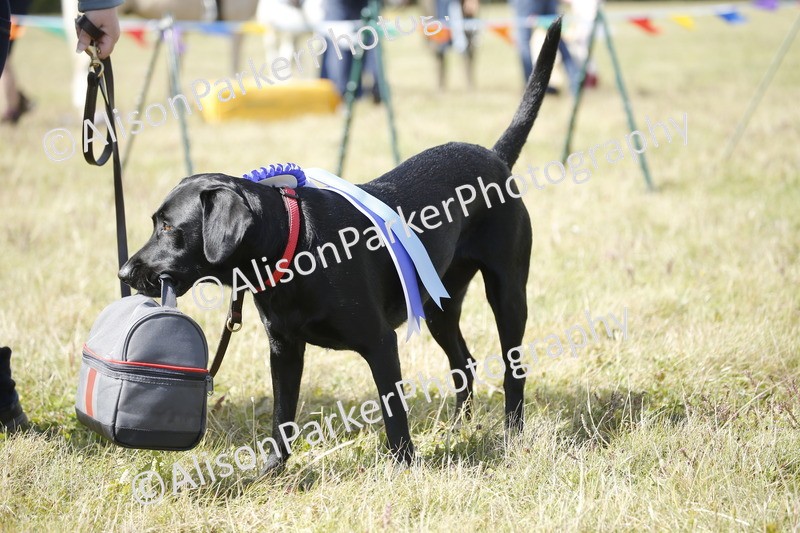 20250831-3738 - Dog Show