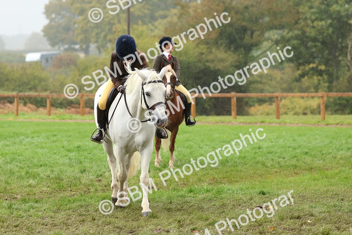 SBM_69721 - S62 - Mountain & Moorland Ridden Large Breeds