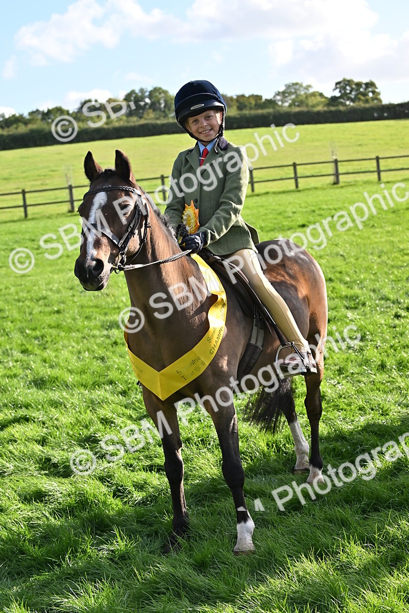 SBM_51282 - S22 - First Ridden show and show Hunter Pony