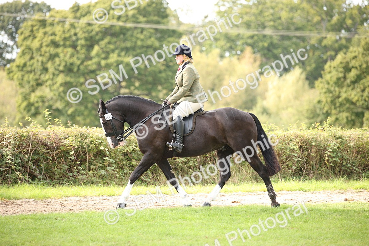 SBM_70389 - S66 - Hunter Ridden