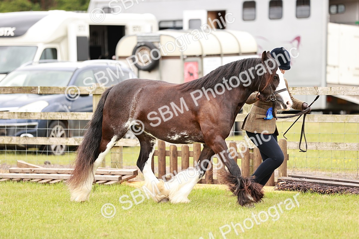 SBM_04732 - Class 5-8 - BSPA In hand