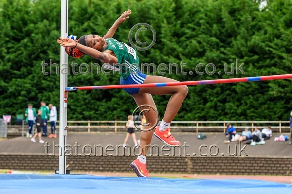 Sen25SAT-913414 - Field Female Set Two