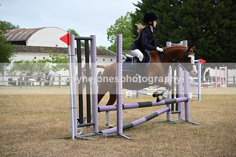 WJ6_0133 - Class 13 Novice Jumping 60cm
