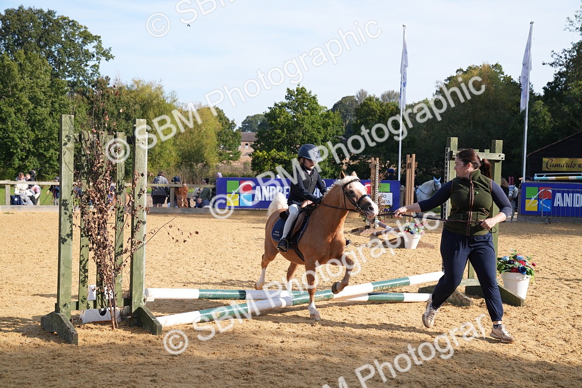 SBM_61334 - J1 - Mini Tour Junior Pony Lead Rein 30cm Championship