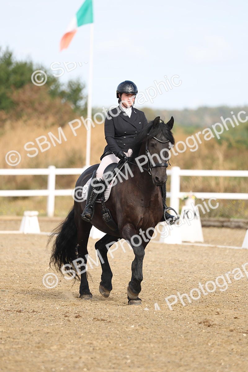 SBM_008249