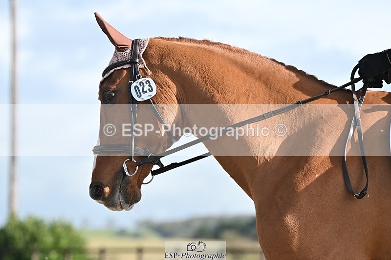 231105-112412-00921 - Cls 3 Prelim 12 11.18 to 12.35 break