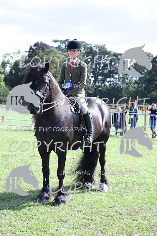 APP_3707 - Class 12 M&M ridden