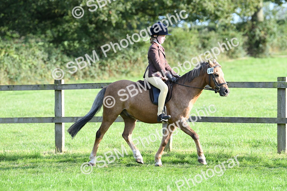 SBM_54015 - S23 - 1st Ridden Mountain & Moorland Pony