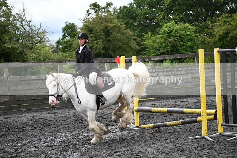 WJ6_0231 - Class 13 Novice 60cm