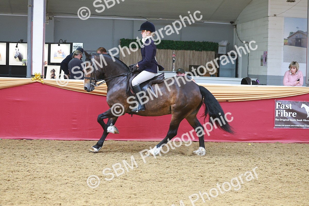 SBM_17799 - Class 952 - M&M Ridden Supreme Final